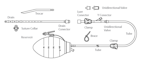 HpBio-HemaDrain-Squema-Pera-En